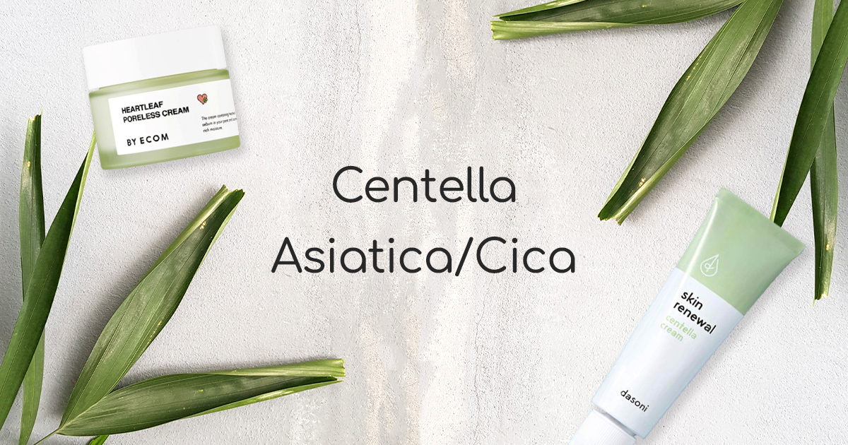 Centella Asiatica / Cica