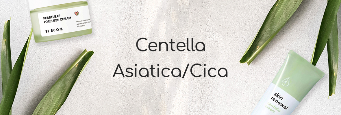 Centella Asiatica / Cica