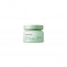 innisfree - Green Tea Balancing Cream - 50ml
