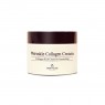 the SKIN HOUSE - Wrinkle Collagen Cream - 50ml