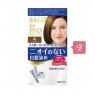 Dariya - Salon De Pro - Hair Color Cream  - 4 Light Brown Duo Set