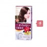 Dariya - Salon de Pro Grey Hair Coloring Liquid - 1set - #6 Dark Brown (6ea) Set