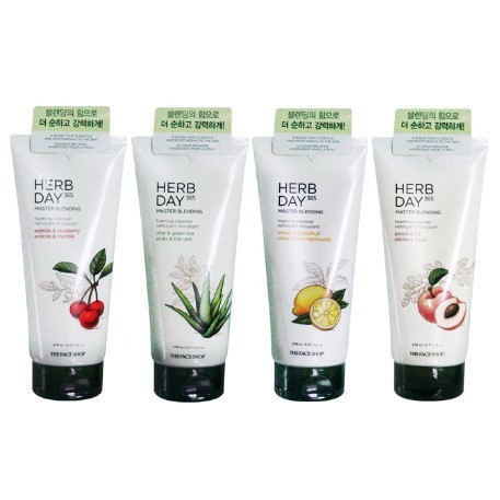 The Face Shop - Herb Day 365 Master Blending Foaming Cleanser