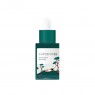 Round Lab - Pine Calming Cica Ampoule - 30ml