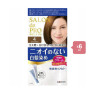 Dariya - Salon De Pro - Hair Color Cream - 4 Light Brown  6PCS set