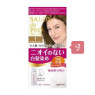 Dariya Salon De Pro Hair Color Emulsion - 1box - 1 Pretty bright light brown (2ea) Set